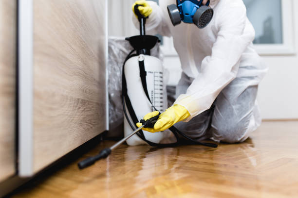 Best Best Pest Control Companies  in Florence Graham, CA