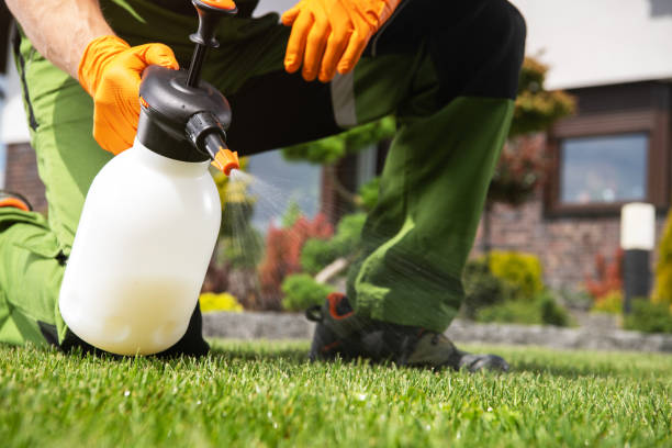 Insect Control in Florence Graham, CA