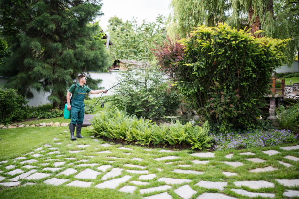 Pest Control Cost in Florence Graham, CA