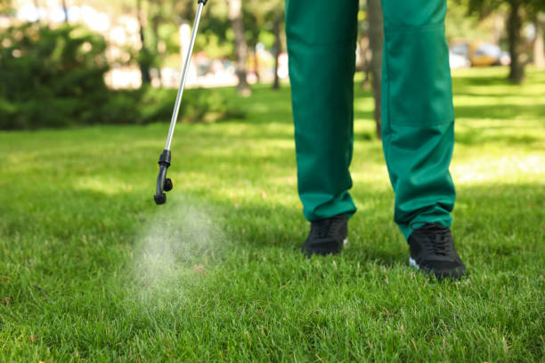 Best Emergency Pest Control  in Florence Graham, CA