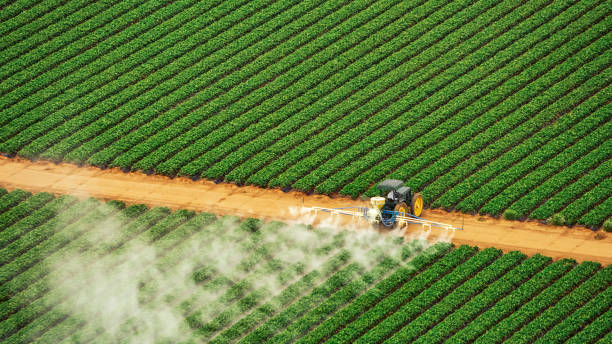 Best Pest Prevention Services  in Florence Graham, CA