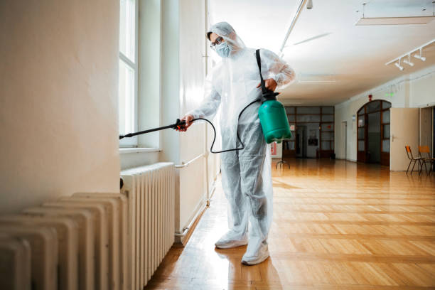 Best Flea Control Services  in Florence Graham, CA