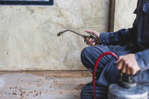 Best Pest Control Near Me  in Florence Graham, CA