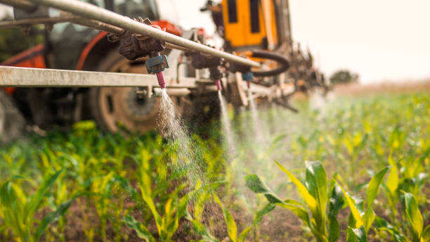 Pest Prevention Services in Florence Graham, CA